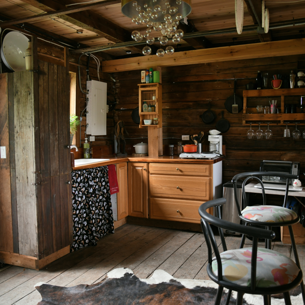Shuswap River House - Kitchen
